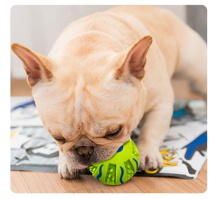 Extremely Durable Indestructible Dog Chew Toy Ball for Aggressive Chewers Interactive Rolling Self Entertainment with Squeaker Sound Golden Retriever German Shepherd