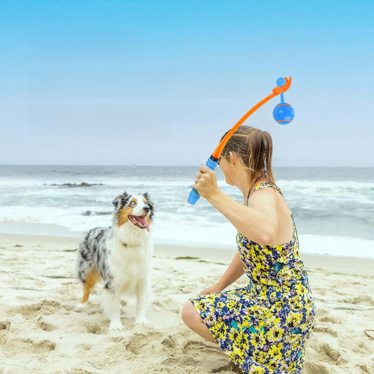 Outdoor Dog Training Throw Rod with TPR Ball and Tail Sounding Feature