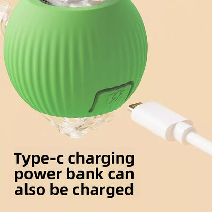 Rechargeable Automatic Cat Toy Ball with Variable Speed Smart Motion for Cats Interactive Self Play Pet Entertainment Teaser Ball