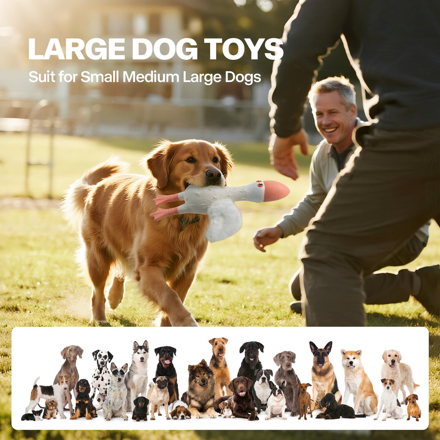 Squeaky Plush Wing Dog Toy PU Foam Chew for Teeth Cleaning