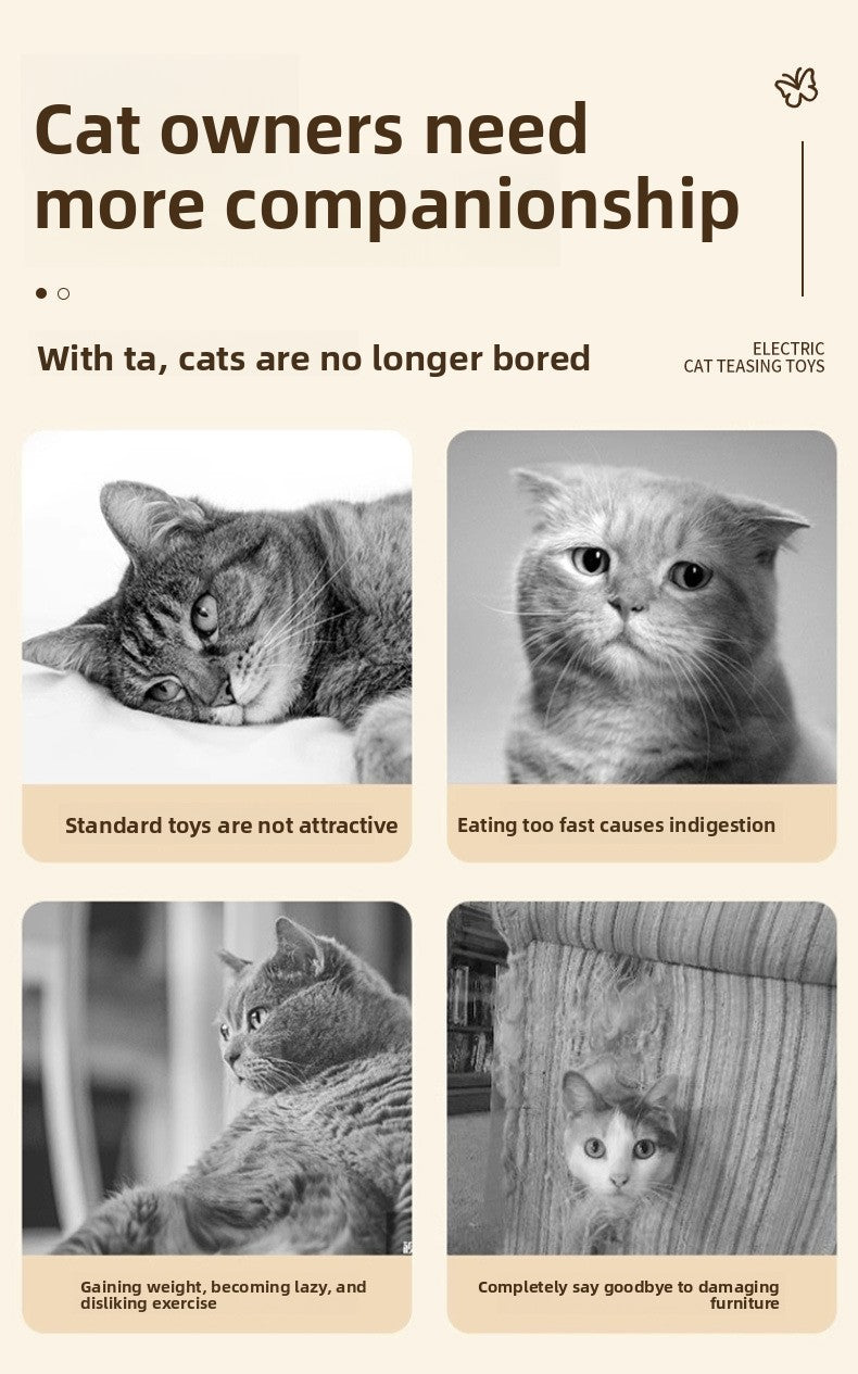 Energy-Consuming Cat Toy Meow Heart Treasure Box with Electric Rotating Turtle