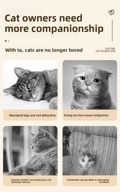 Energy-Consuming Cat Toy Meow Heart Treasure Box with Electric Rotating Turtle