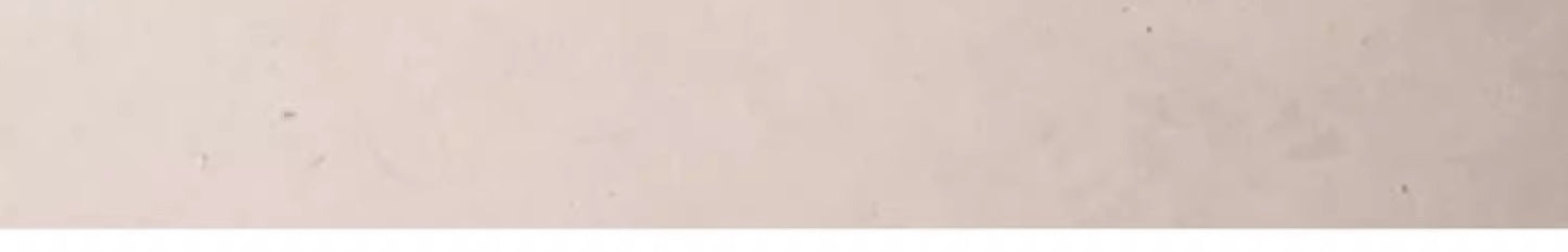 Summer Special Pet Cooling Pad Oval Track Thick Dog Bed Pet Essentials