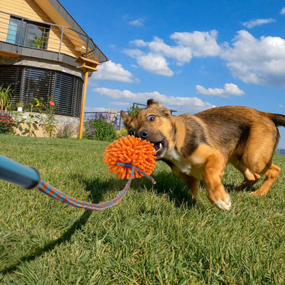 Long Rod Telescopic Dog Toy American Football Shape Chew Rope for Exercise