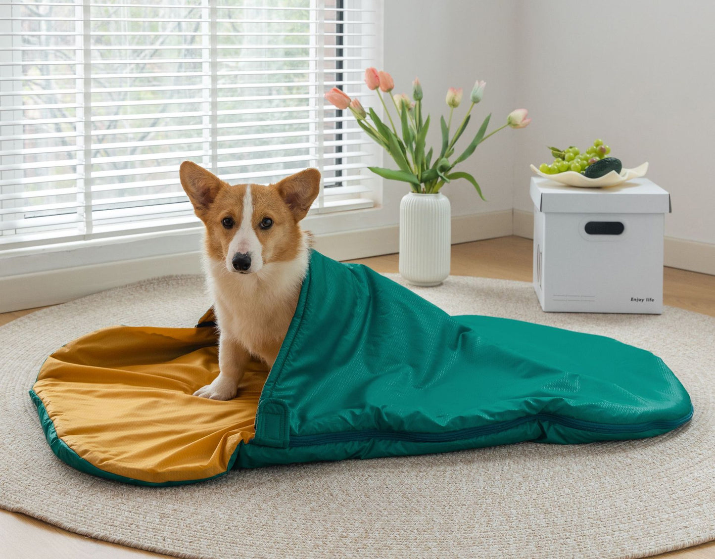 Pet customized outdoor sleeping bag