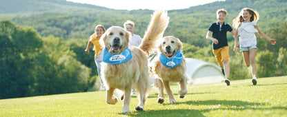 Multiple Sizes Pet Ice Neckband for Summer Anti-Sunstroke Cold Triangle Scarf