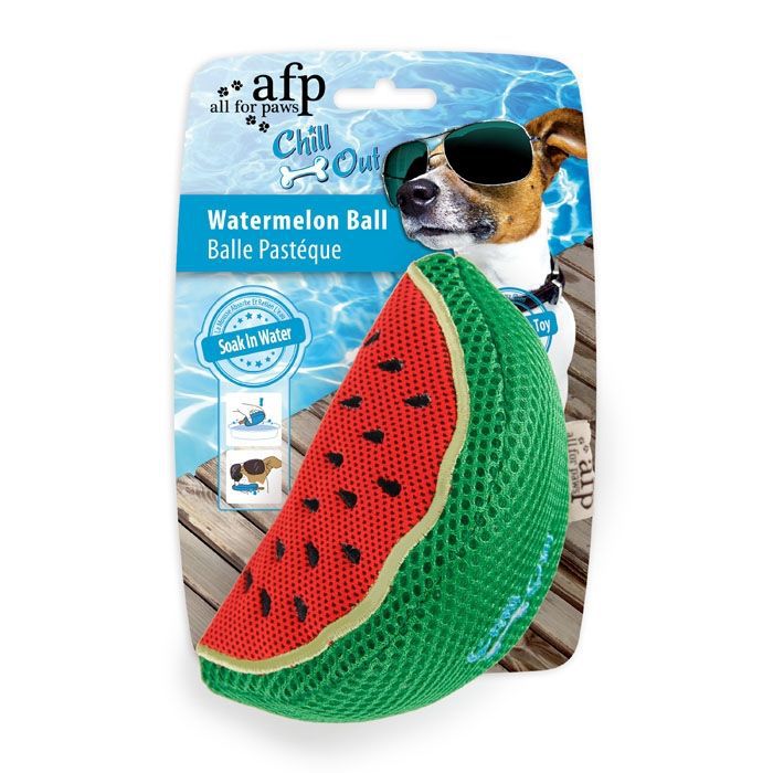 Durable Dog Toy Summer Fruit Themed Watermelon Orange for Small Medium Puppies