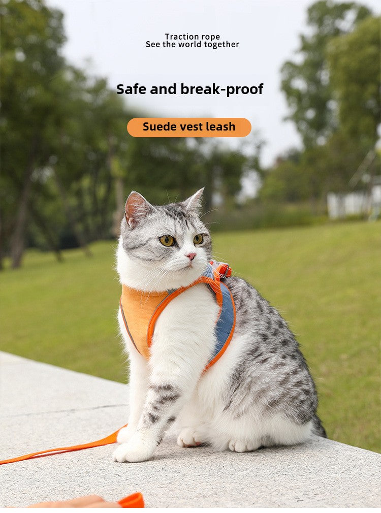 Pet Harness Leash for Safe Outdoor Adventures