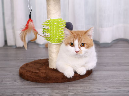 Cat Hair Removal: Dual-Function Scratcher and Comb Toy