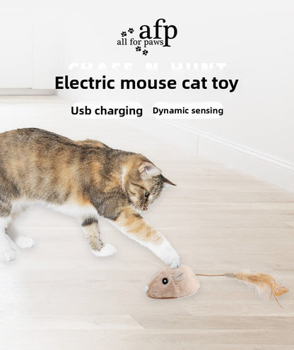 Smart Electric Mouse Cat Toy for Self Play USB Rechargeable