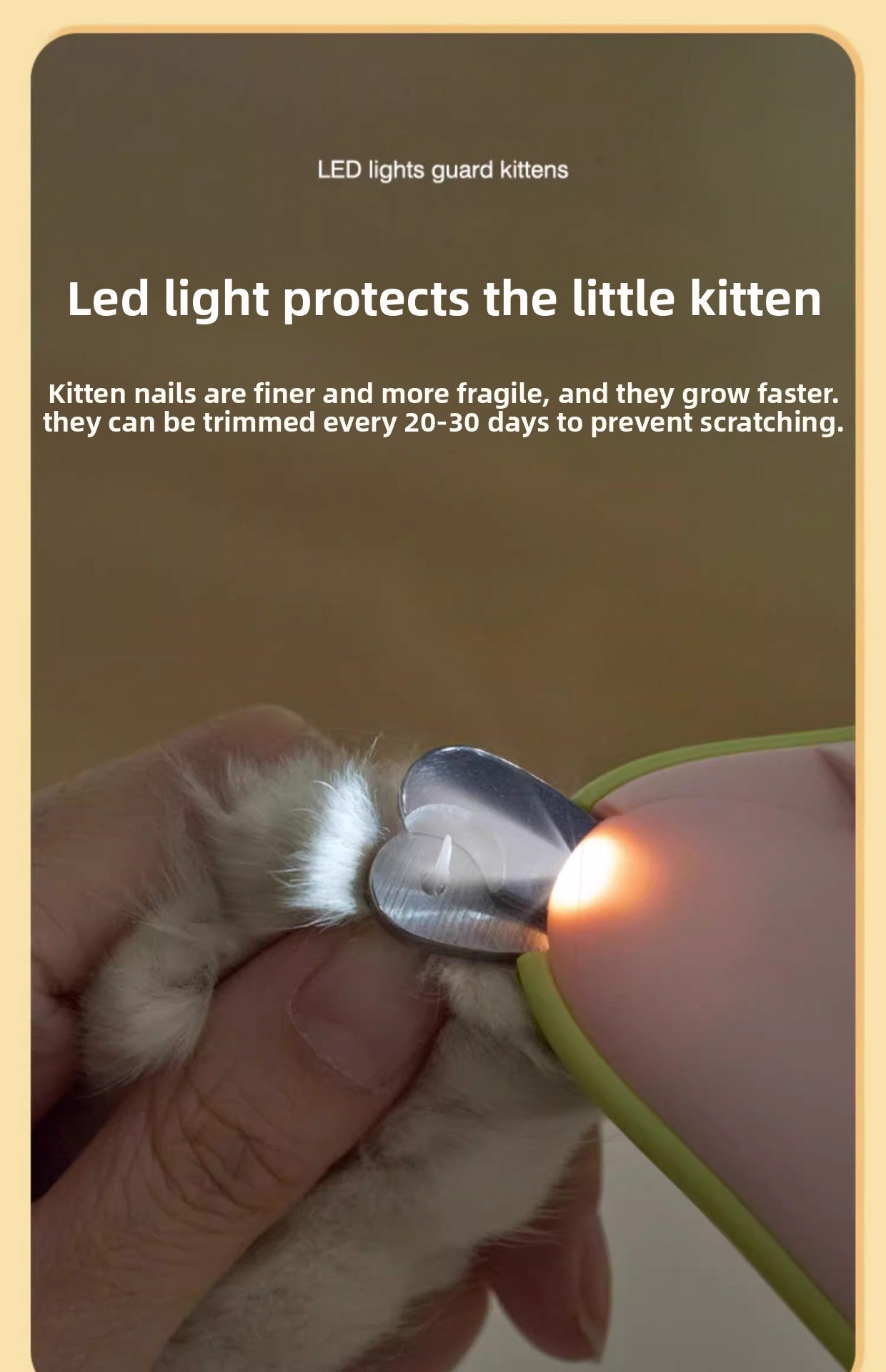 Pet Nail Clippers Cat Nail Clippers with Light Nail Cutter Rabbit Dog Cat Claw Special Beginner Pet Nail Clippers