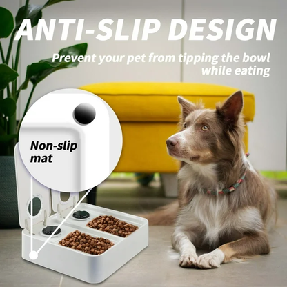 Intelligent 48h Timing Pet Feeder 300ml Double Bowl with Ice Pack for Cats Dogs