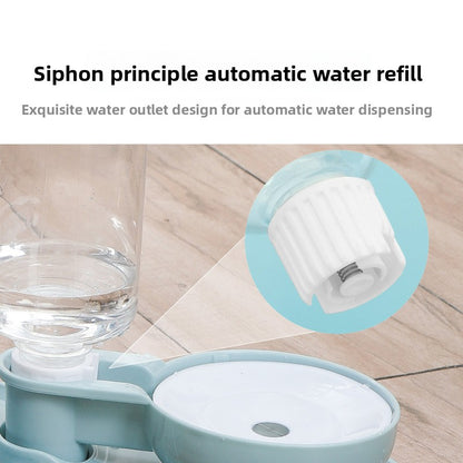 Elevated Cat Food Bowl 3 in 1 Automatic Water Feeder Tilted Design for Neck Relief Slow Feeding Transparent Double Pet Bowl for Cats and Small Dogs