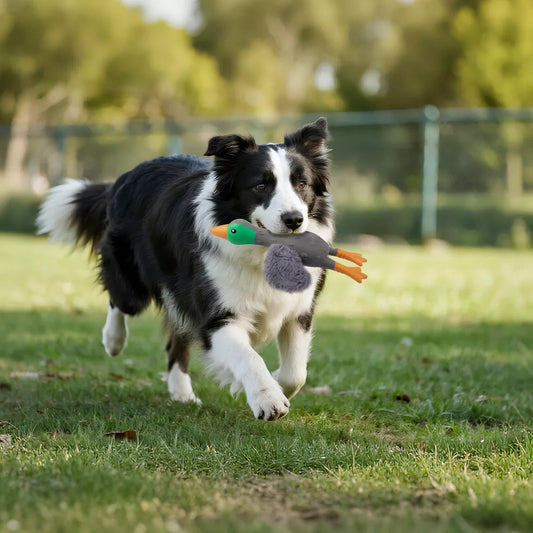 Fun Sound Latex Dog Chew Toy for Stress Relief Wild Duck Seagull Yellow Options