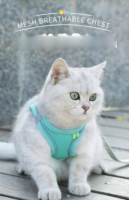 Cat Leash Cat Harness Cat Chest Harness Cat Walking Leash Vest Style Pet Chest Harness P-String Reflective Cute Cat