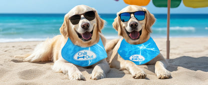 Multiple Sizes Pet Ice Neckband for Summer Anti-Sunstroke Cold Triangle Scarf