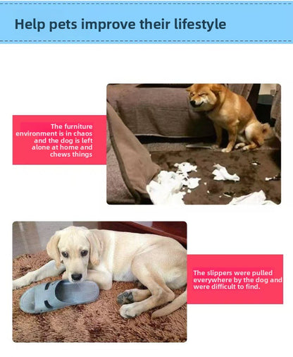 Interactive Dog Frisbee Toy Bite Resistant Cotton Rope Flying Disc for Outdoor Fetch Training and Teeth Cleaning Pizza Shaped Pet Toy