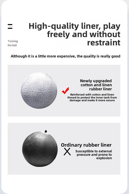 Durable Puppy Chew Football Interactive Toy for Small Large Corgi Dogs