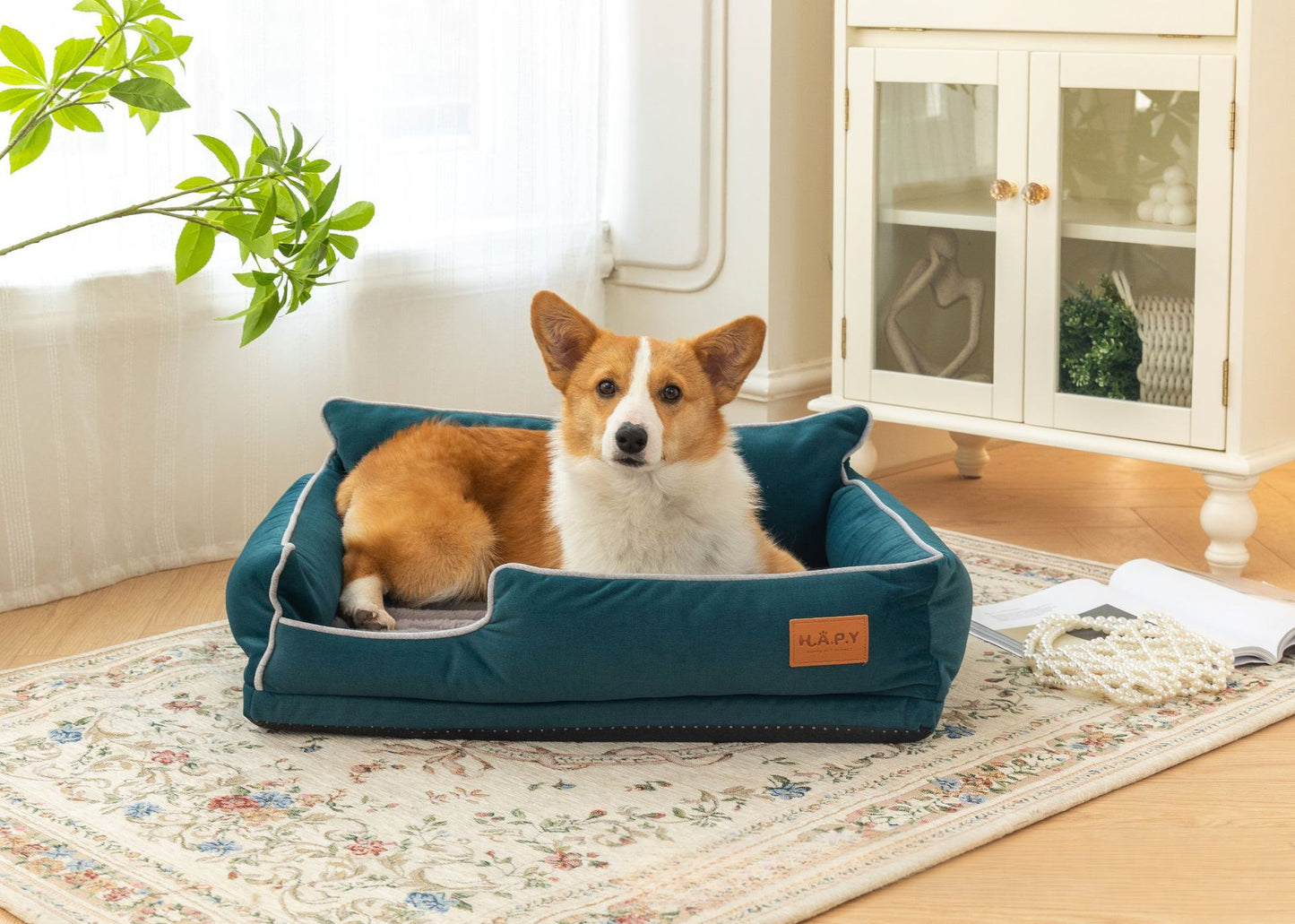 All Seasons Pet Bed, Detachable and Washable, Perfect for Cats and Dogs