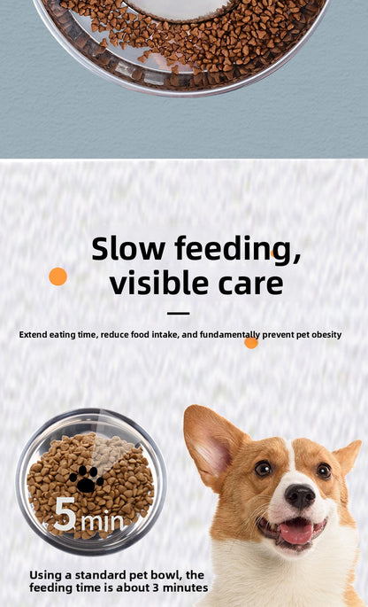 New Stainless Steel Anti-Choke Dog and Cat Slow Feeder Premium Pet Bowl