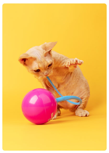 Automatic Electric Cat Toy with Irregular Sliding Magic Spinning Ball for Self-Entertainment