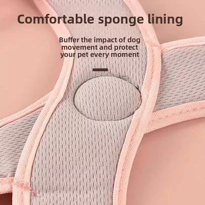 Dog Walking Vest Style Harness Leash for Small Medium Teddy Pomeranian Bichon