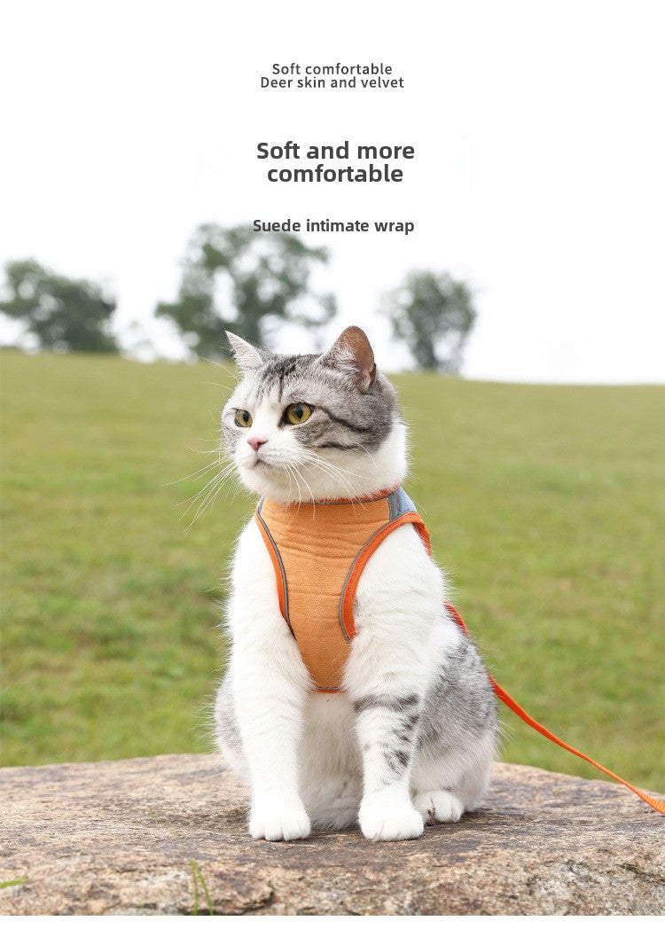 Pet Harness Leash for Safe Outdoor Adventures