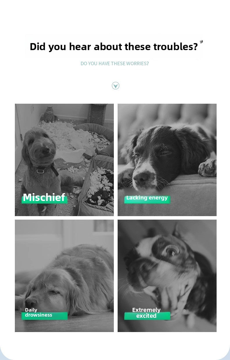 Durable Puppy Chew Football Interactive Toy for Small Large Corgi Dogs