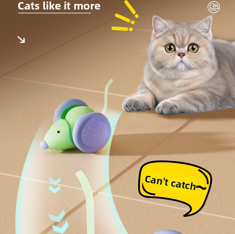 Automatic Rolling Cat Ball Toy Self Entertainment Pet Supplies for Indoor Cats Dogs Teaser Ball with Catnip Boredom Relief Interactive Kitten Toys