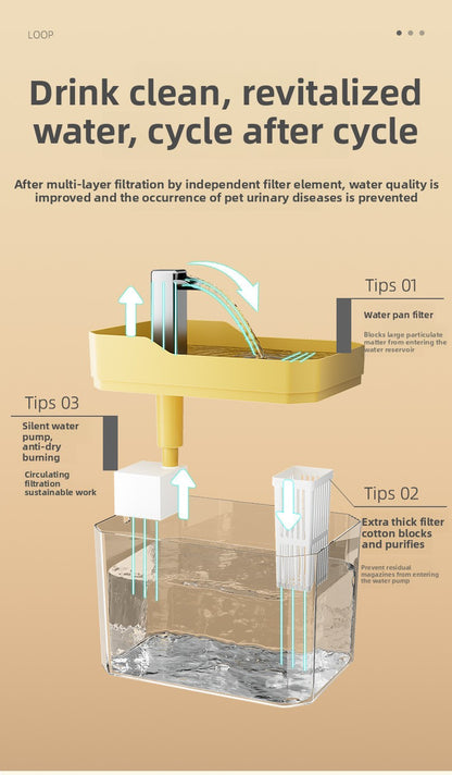 Automatic Cat Water Fountain 2L Large Capacity Smart Pet Water Dispenser with Filter for Fresh Circulating Water and Quiet Pump