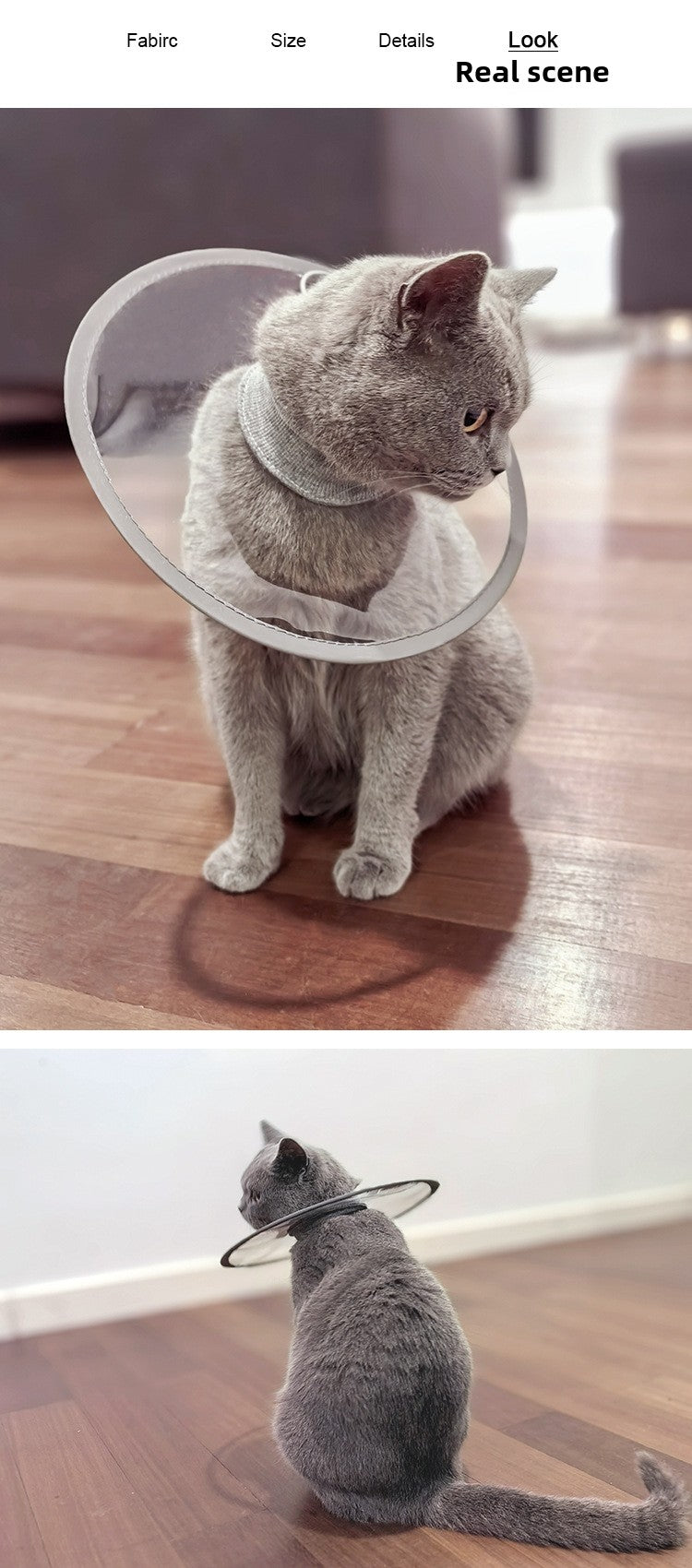 Transparent Waterproof Pet Elizabeth Circle for Cats and Dogs