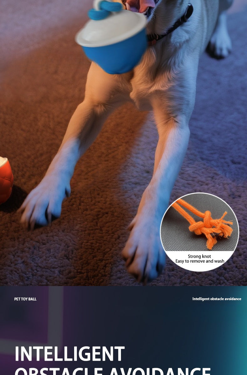 Interactive Self Entertainment Dog Ball Toy with Sound Boredom Relief for Dogs and Cats Fun Pet Supplies for Playtime and Exercise