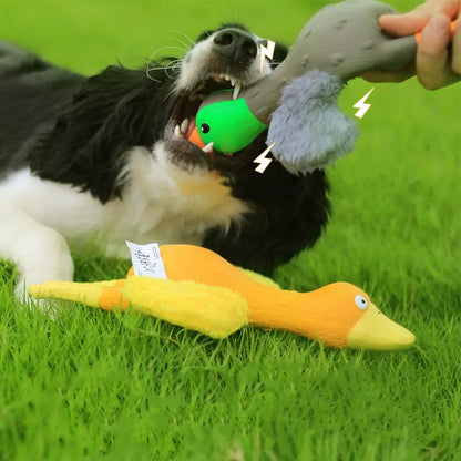 Dog Latex Chew Toy for Self Entertainment and Boredom Busting