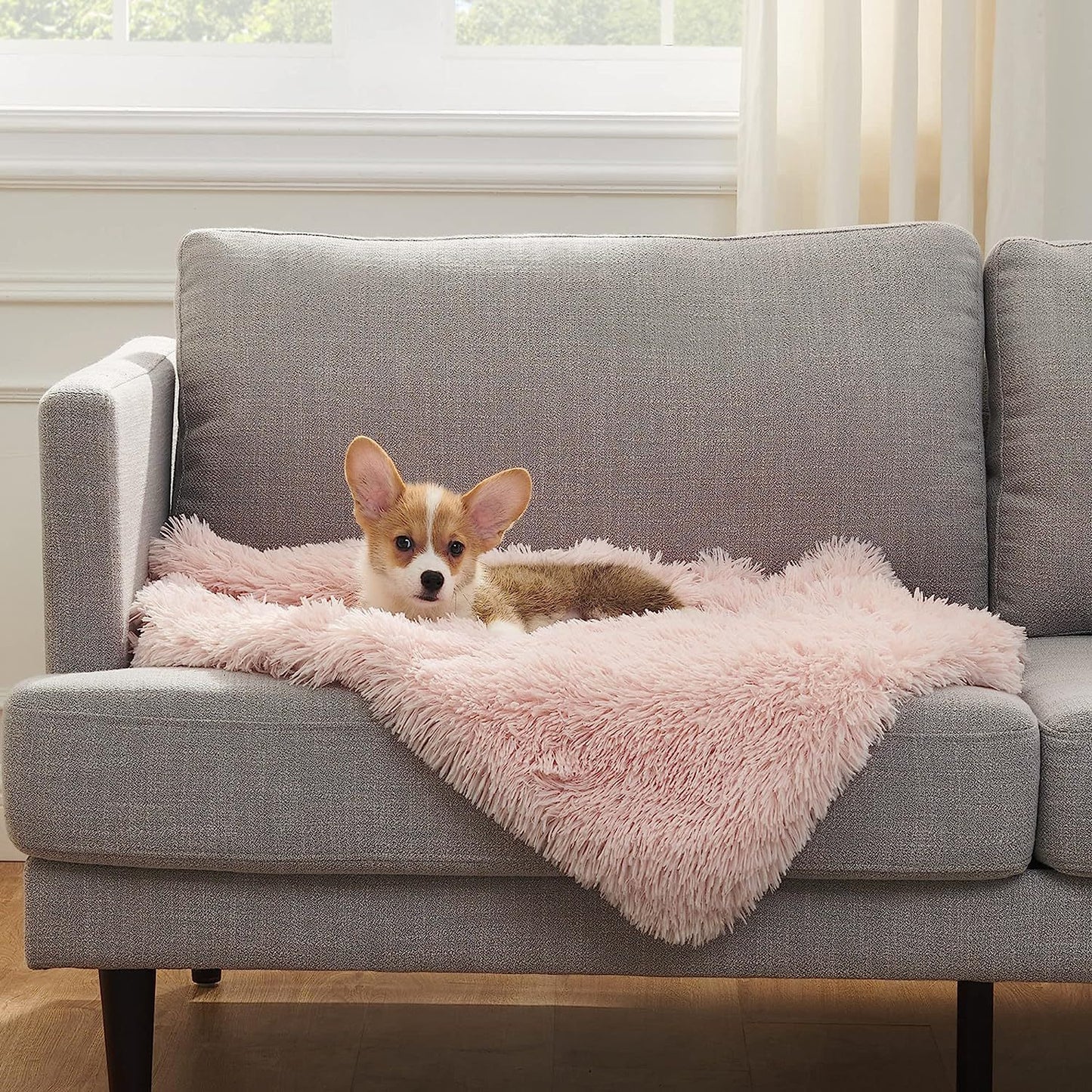 Cat and Dog Dual-sided Fluffy Pet Throw