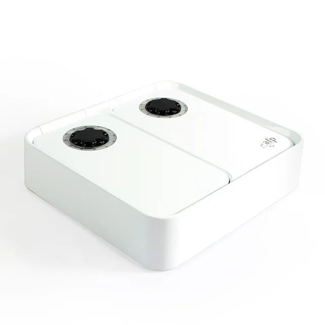 Intelligent 48h Timing Pet Feeder 300ml Double Bowl with Ice Pack for Cats Dogs