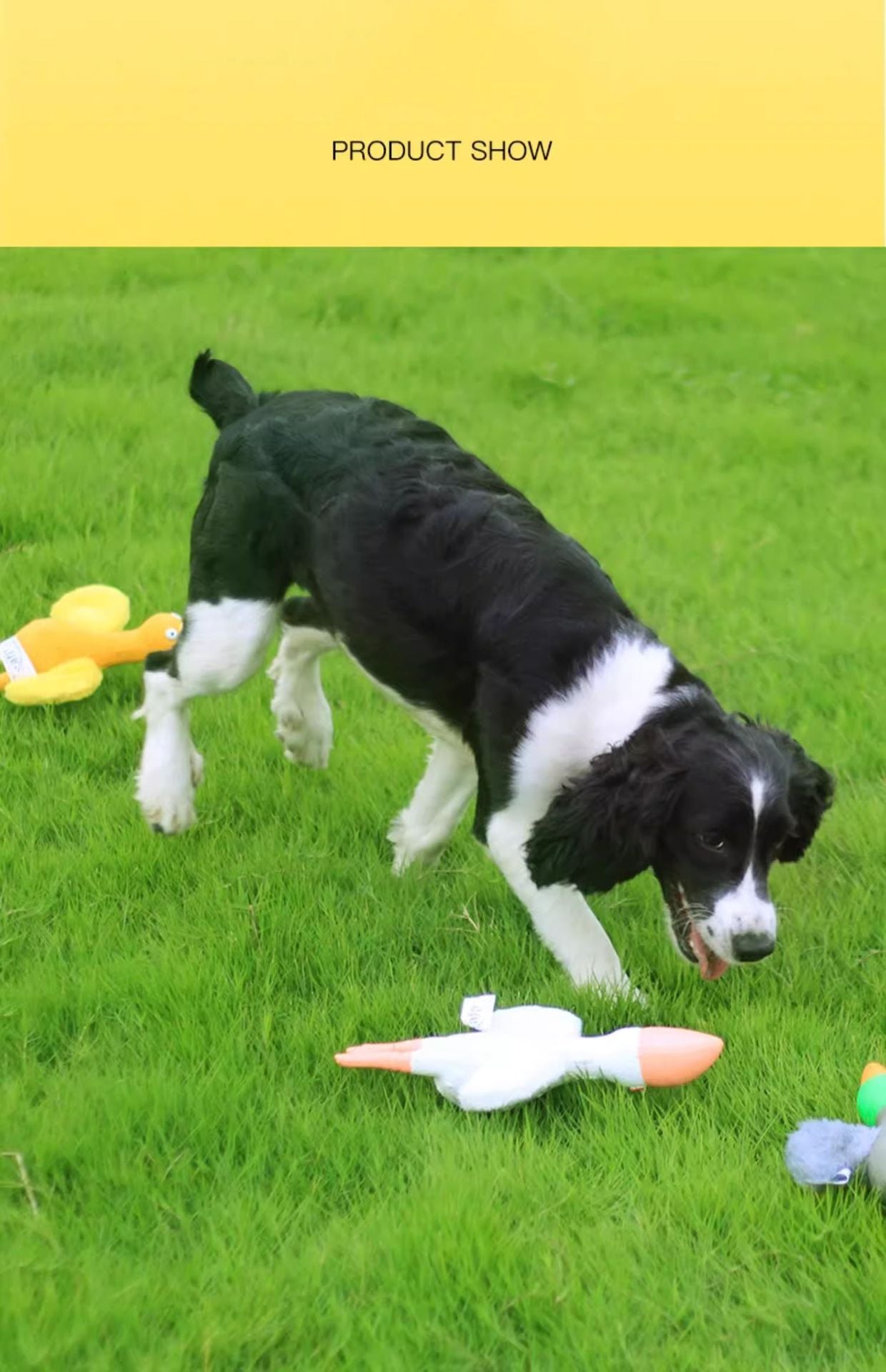 Dog Latex Chew Toy for Self Entertainment and Boredom Busting