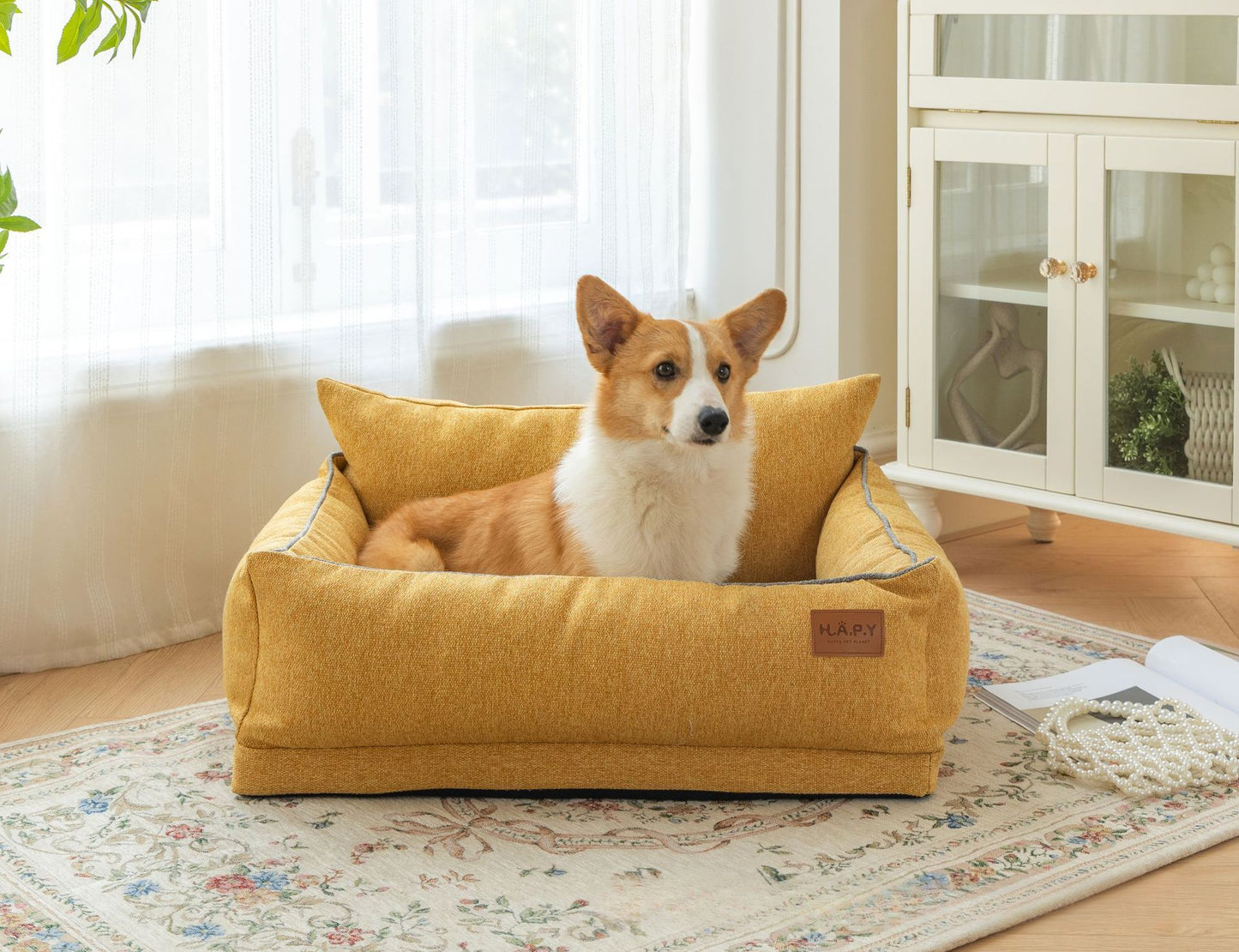 All Seasons Pet Bed, Detachable and Washable, Perfect for Cats and Dogs