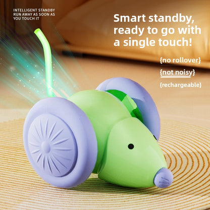 Automatic Rolling Cat Ball Toy Self Entertainment Pet Supplies for Indoor Cats Dogs Teaser Ball with Catnip Boredom Relief Interactive Kitten Toys