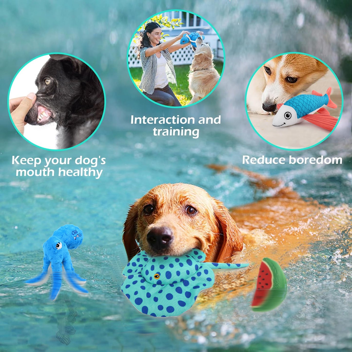Summer Pet Dog Hydration Chew Toy with Water Absorbing Sponge for Teeth Grinding