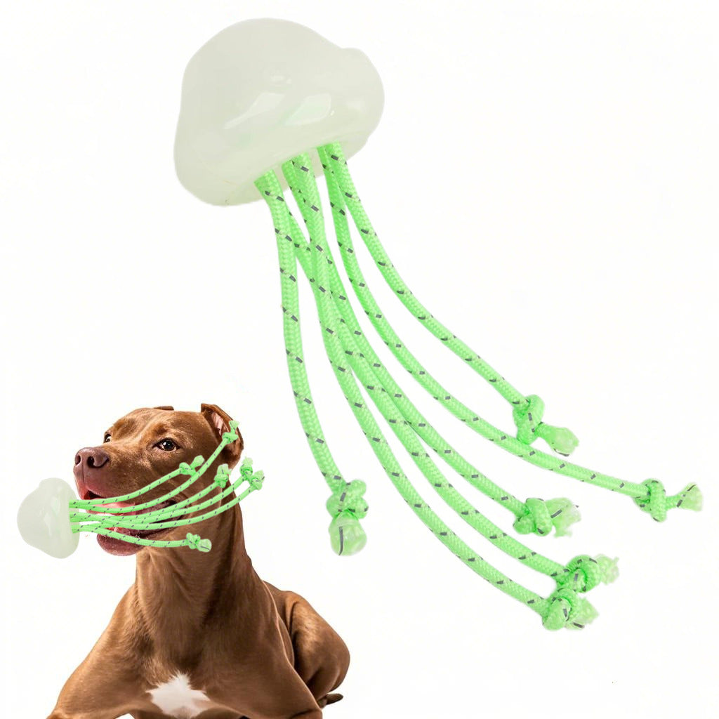Dog Teeth Cleaning Night Glow Jellyfish TPR Drag Toy