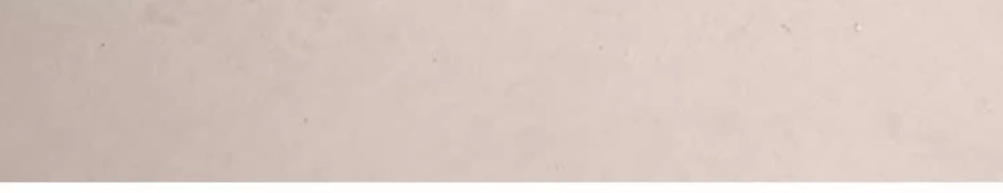 Summer Special Pet Cooling Pad Oval Track Thick Dog Bed Pet Essentials