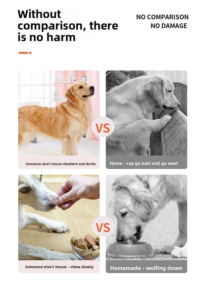 Assiette d'entraînement anti-étouffement rotative pour chien, anti-fuite de nourriture