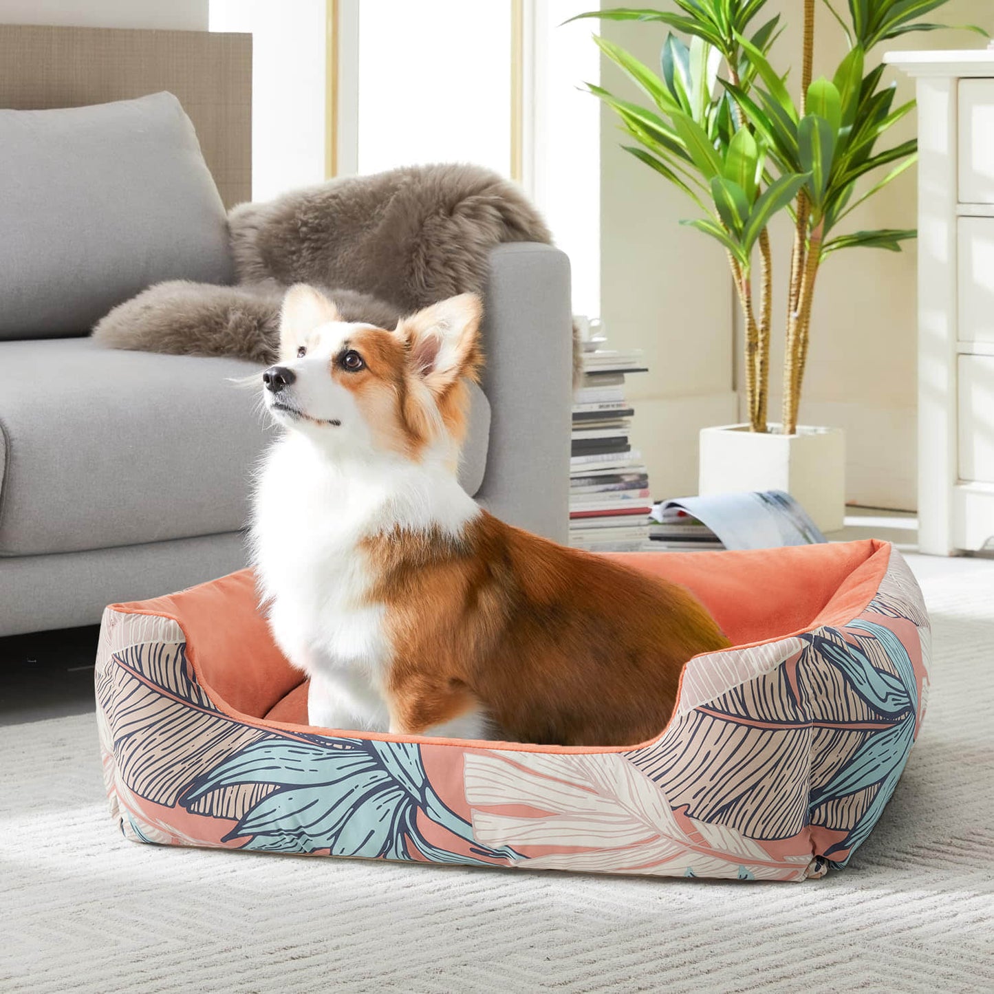 All-Season Soft Machine Washable Pet Bed for Cats Dogs Large Medium Small Non-Slip