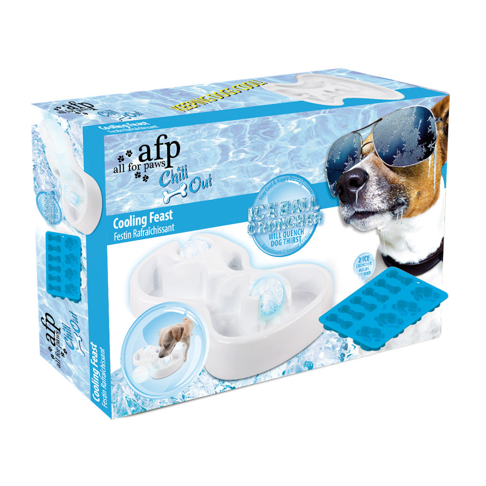 Pet Cooling and Heat Relief Feeding Bowl Set Bone Paw Ice Cube Silicone Mold Dog Cat Lick Bowl