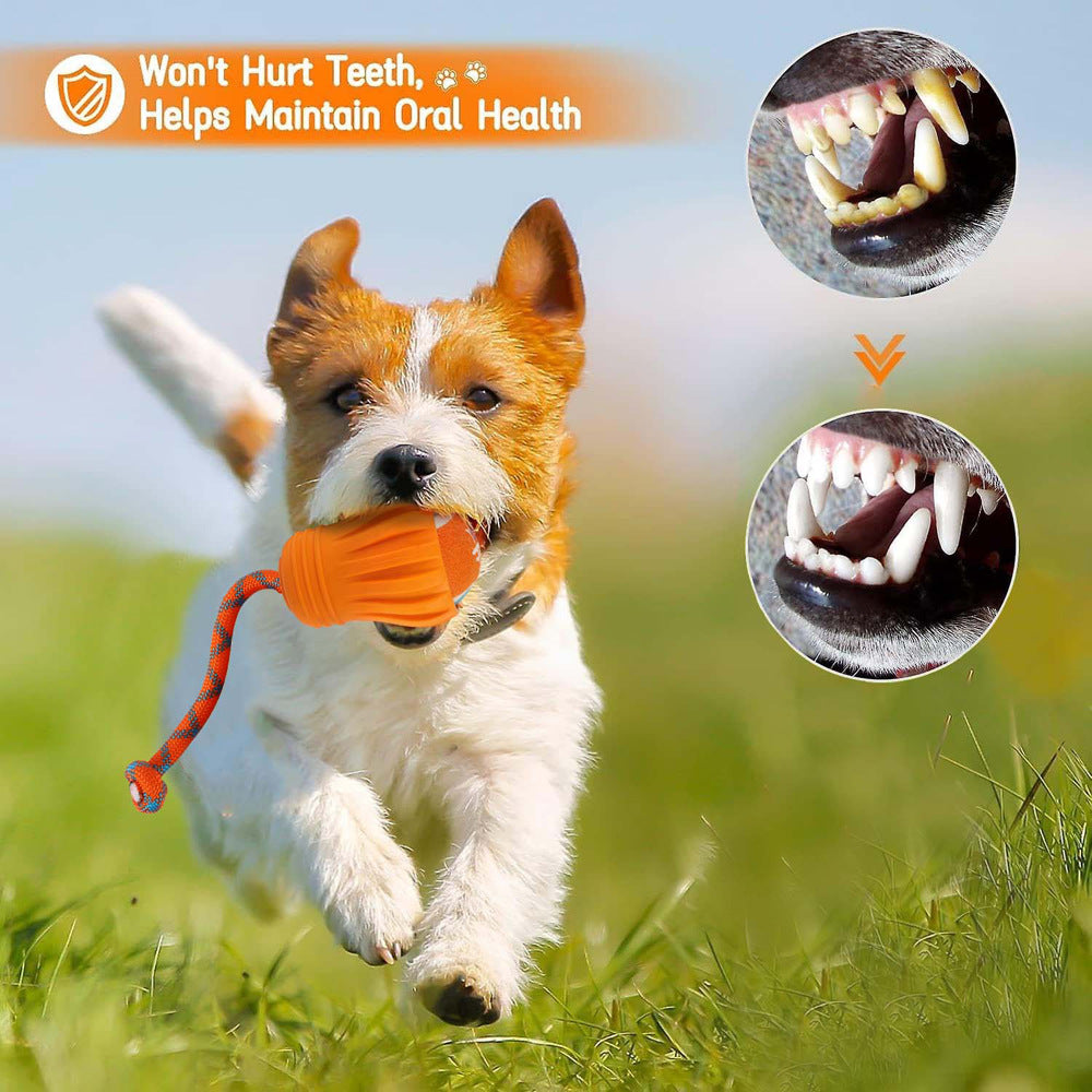 Pet Fetch Training Outdoor Ball Toy Tug for Dogs 6.5cm Tennis