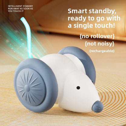 Automatic Rolling Cat Ball Toy Self Entertainment Pet Supplies for Indoor Cats Dogs Teaser Ball with Catnip Boredom Relief Interactive Kitten Toys