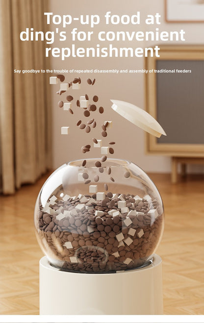 Automatic Cat Dog Water Dispenser with Food Feeder and Grain Storage Bucket