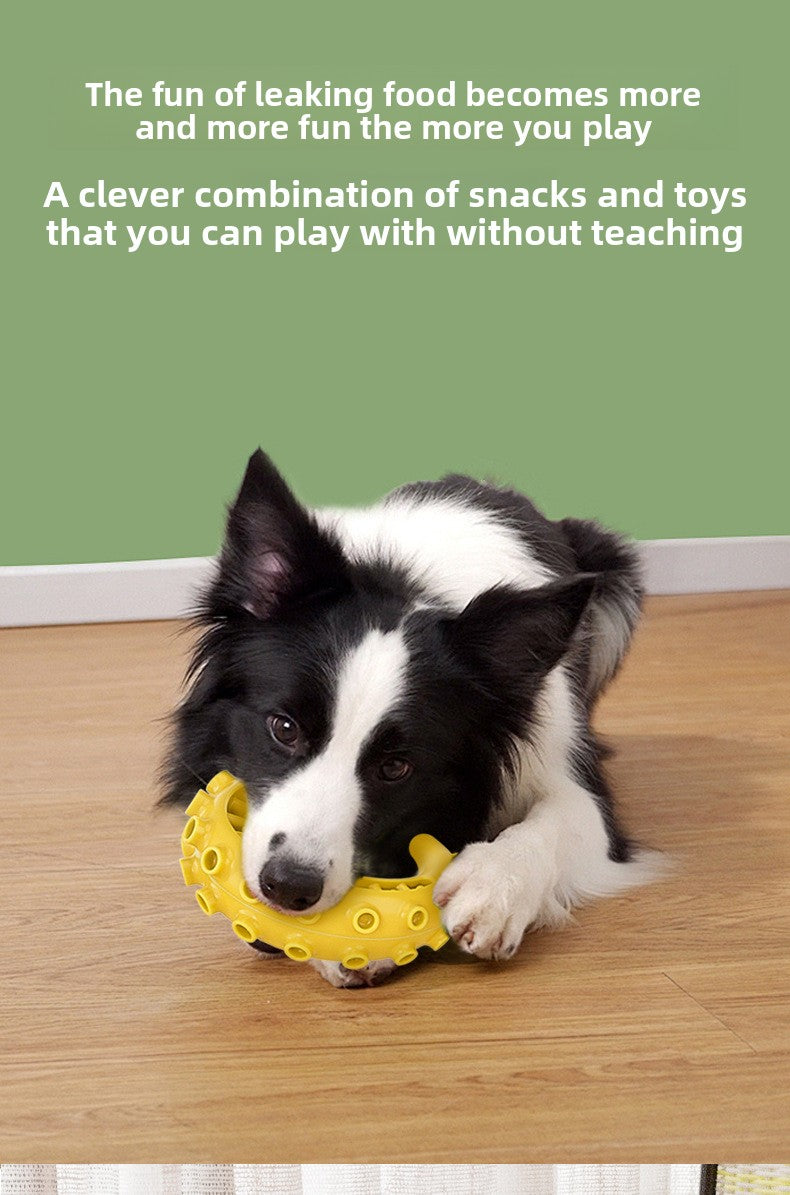 Rubber Spiked Bone Pet Toy New Design for Dog Teeth Grinding Chew Supplies