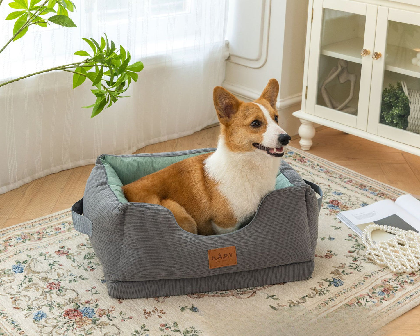 All Seasons Pet Bed, Detachable and Washable, Perfect for Cats and Dogs