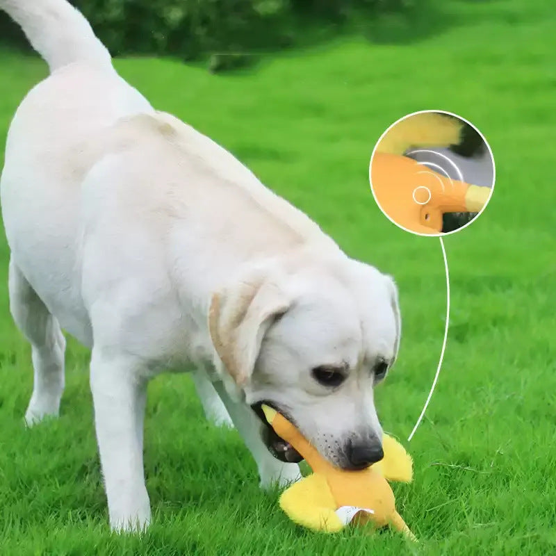 Dog Latex Chew Toy for Self Entertainment and Boredom Busting